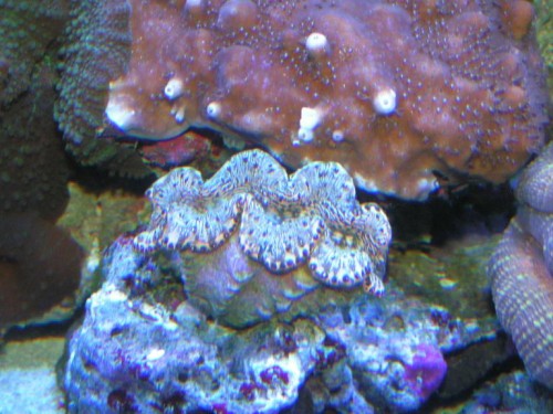 PICT0738.JPG