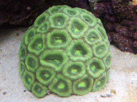 HPIM0738.JPG