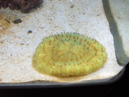 HPIM0762.JPG