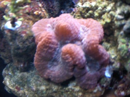 HPIM0769.JPG