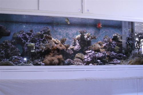 Salt 21-08-09 036 (Medium).jpg