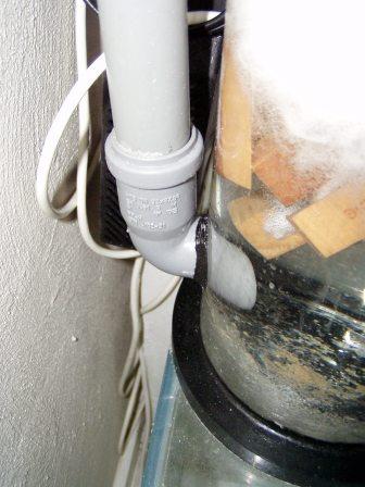 skummer6.jpg