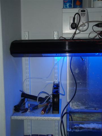 P5190262 (Small).JPG