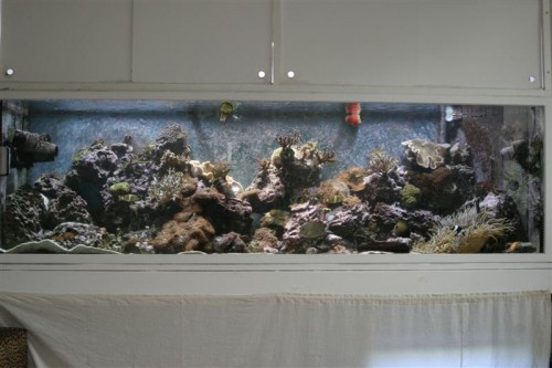 Salt 25-08-09 033 (Medium).jpg