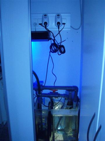 P5190270 (Small).JPG