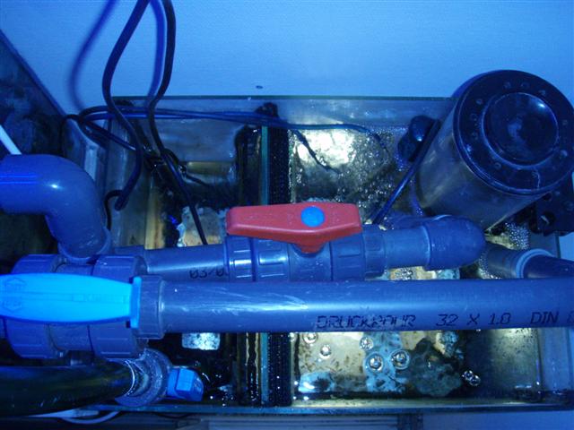 P5190274 (Small).JPG