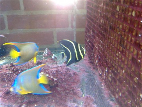 270820092381.jpg