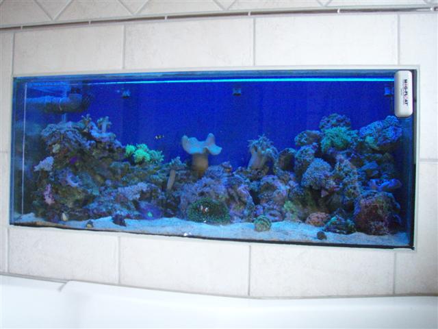 P5190283 (Small).JPG