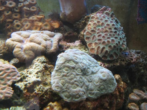 IMG_3824 (Medium).JPG