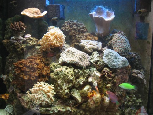 IMG_3827 (Medium).JPG