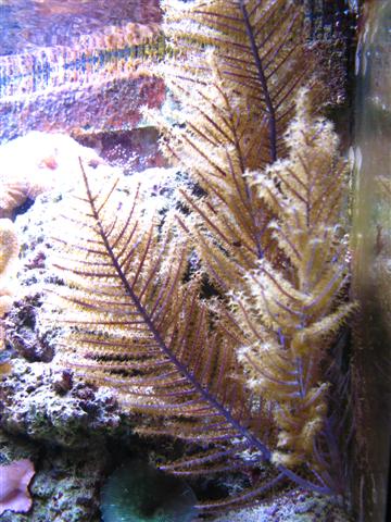 IMG_2763 (Small).jpg