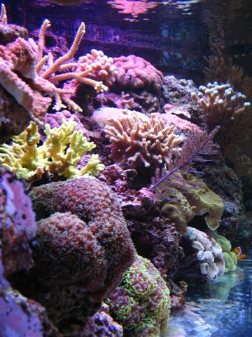 IMG_2766 (Small).jpg