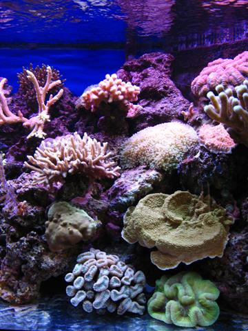 IMG_2769 (Small).jpg