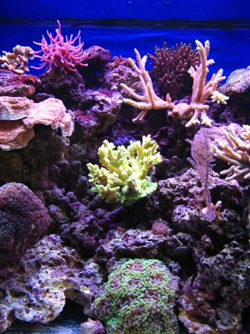 IMG_2770 (Small).jpg