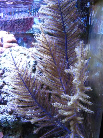 IMG_2777 (Small).jpg