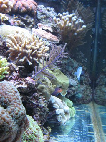 IMG_2789 (Small).jpg