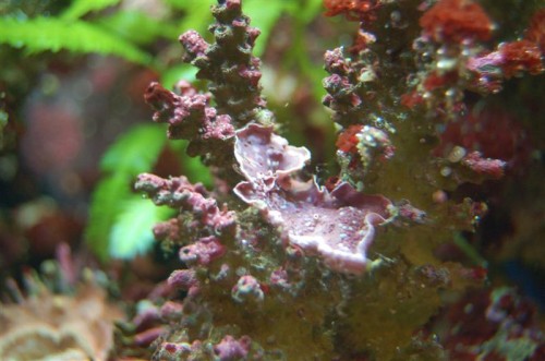 DSC_3497 (Medium).JPG