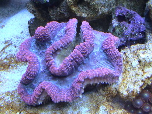 DSC00035.JPG