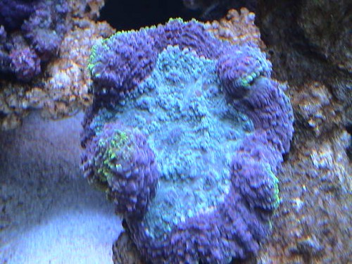 DSC00036.JPG