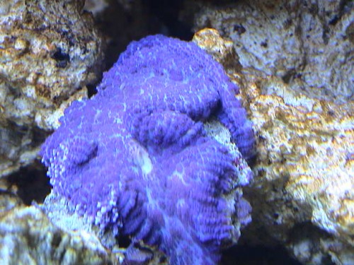 DSC00062.JPG