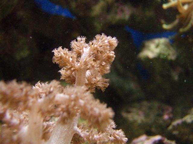 P5190583 (Small).JPG