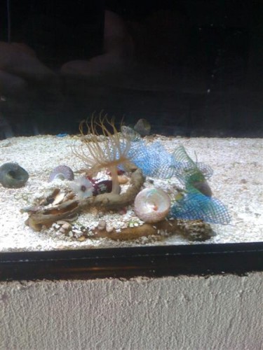 IMG_0145 (Medium).jpg