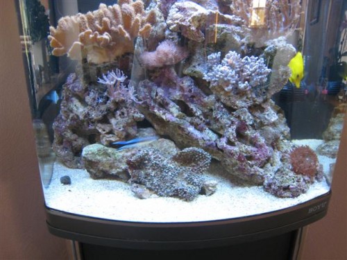 IMG_3013 (Small).jpg