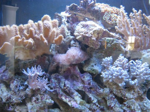 IMG_3030 (Small).jpg