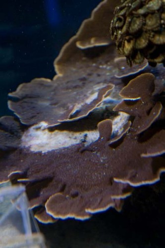 IMG_7710.jpg
