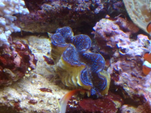 250L.