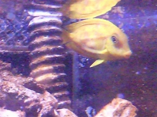 Billede0506 (Small).jpg