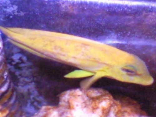 Billede0508 (Small).jpg