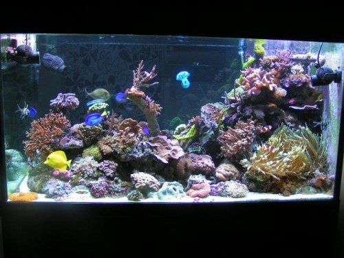 PICT0884.JPG