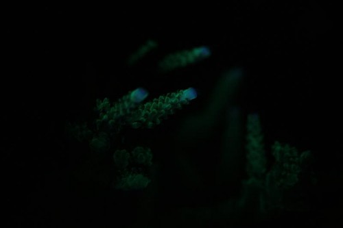 IMG_4920 (Medium).JPG