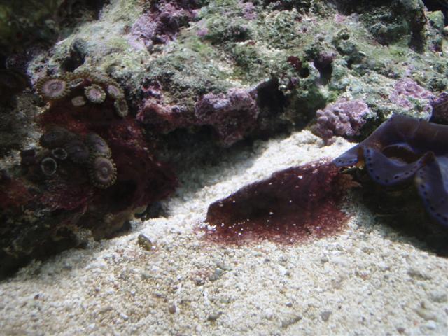 P5250748 (Small).JPG