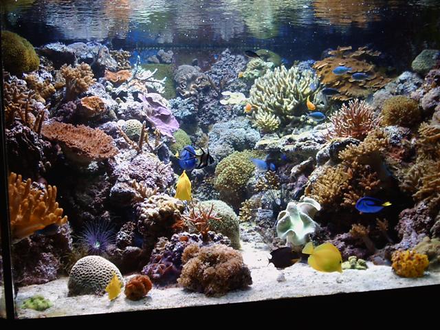 IMAG0004 (Small).JPG