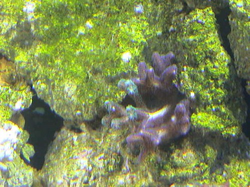 DSC00044.JPG