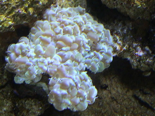 DSC00042.JPG