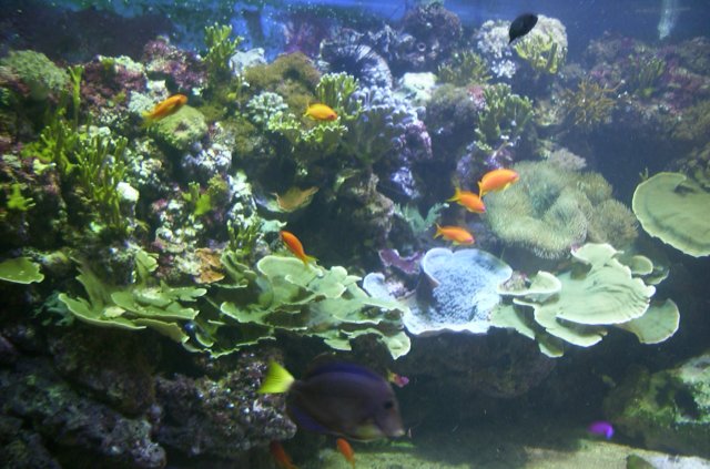 DCP_2539.JPG