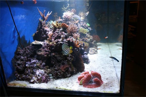 akvarium22.jpg