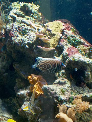 IM000092 (Small).JPG