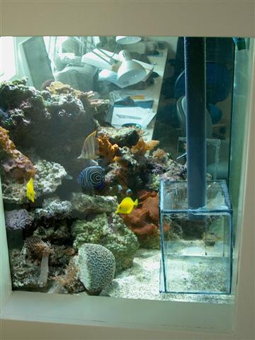 IM000100 (Small).JPG