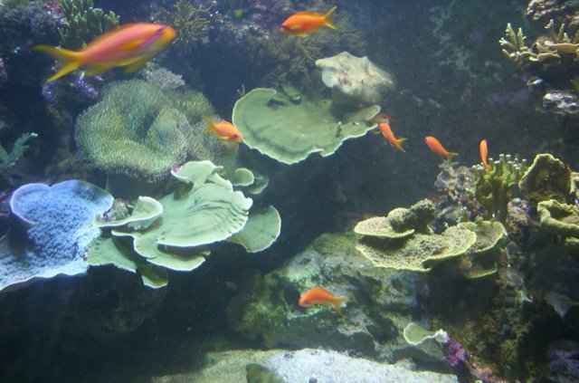 DCP_2538.JPG