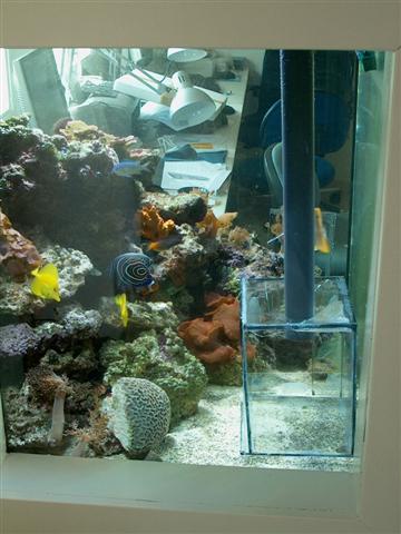 IM000099 (Small).JPG