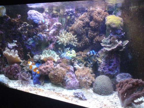 DSC00405 (Medium).JPG