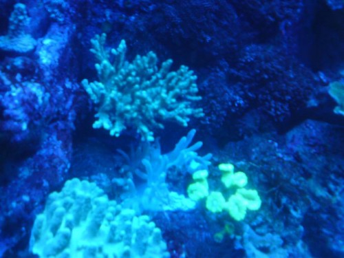 DSC00449 (Medium).JPG