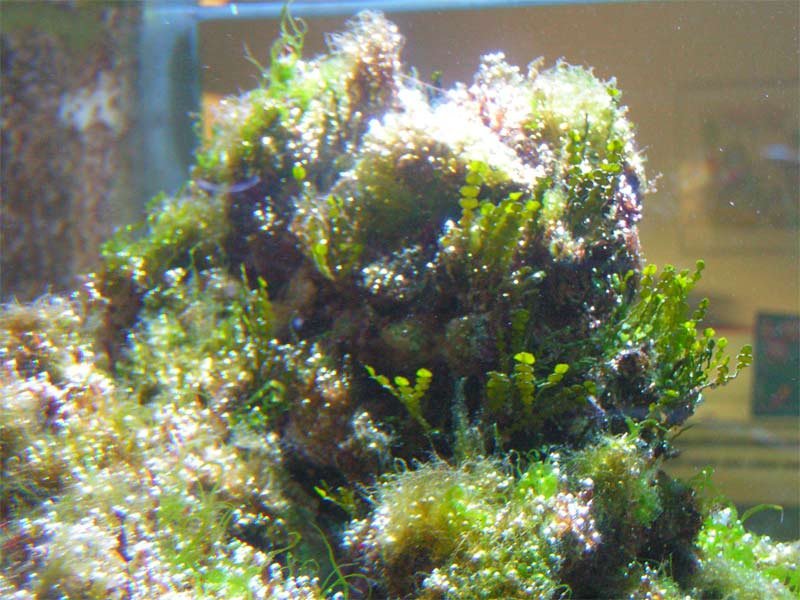 PICT0068.jpg