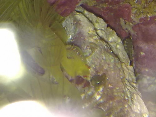23102009634.jpg