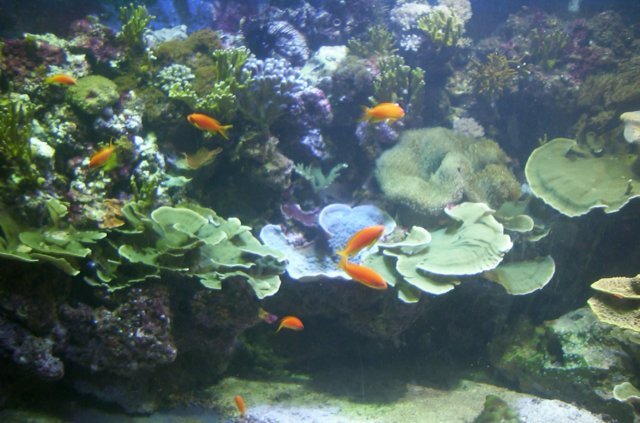 DCP_2537.JPG