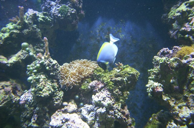 DCP_2547.JPG